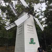 Hidden Gems of Jeli!