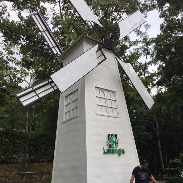 Hidden Gems of Jeli!