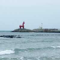 【濟洲】龍頭岩、彩虹海岸、小馬燈塔、綠茶博物館，最後一天濟洲行程必遊！