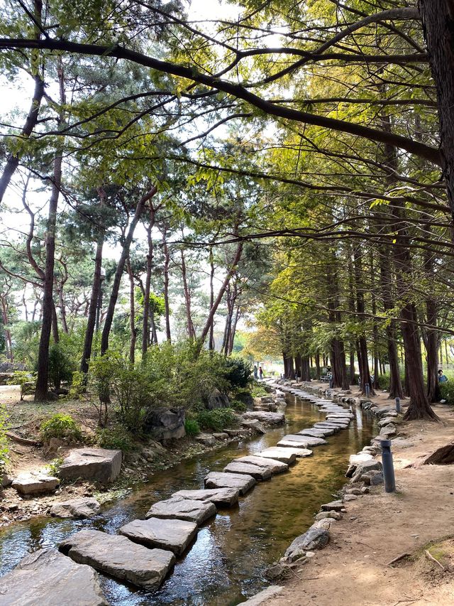 서울 근교 양평 당일치기 여행코스