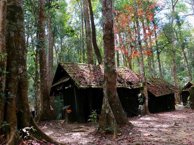 โรงเรียนการเมืองการทหาร 🍁🍁🍁