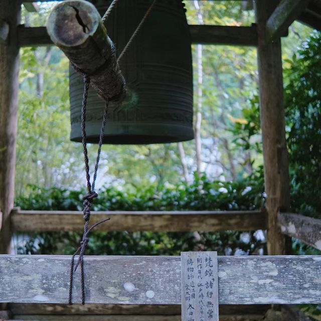🌸🍵 寶光院～禪意與和諧的日式庭院🌸🍵