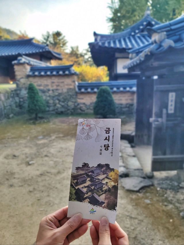 이제 곧 은행카펫이 예쁠 밀양 금시당💛