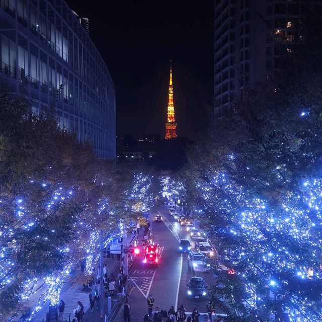 Magical Illuminations at Roppongi