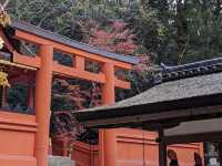 ดูใบไม้เปลี่ยนสีที่ศาลเจ้าตะเกียง Kasuga Taisha