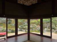 CoStudio | 舊竹林院 - 小琉璃光院の美しさと静けさ🍁🌿