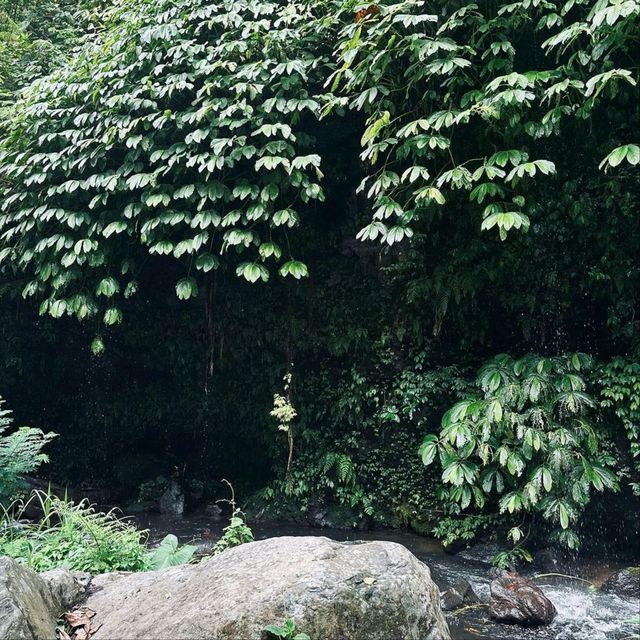 Sekumpul Waterfall