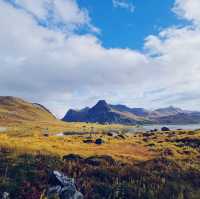 Exploring a day in Beautiful Reine