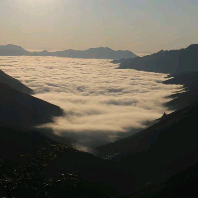 Ta Xua, cloud hunting, Northern Vietnam