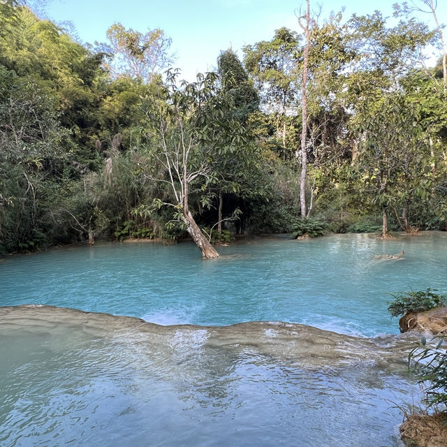 Christmas Magic in Luang Prabang 