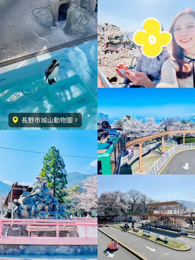 【保存版】MAP付き🗺都内から日帰りで楽しめる！長野1dayおでかけプラン🍎