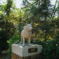 THREE ICONIC คาเฟ่สไตล์ญี่ปุ่นกลางสวน คาเฟ่ปทุมธานี