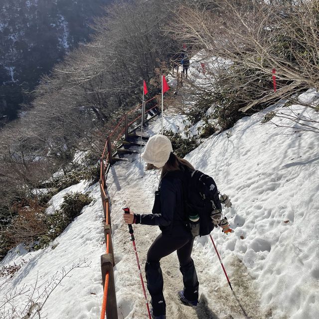 한국에서 겨울여행 올해도 강원도로 가시나요🫢