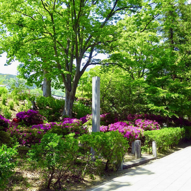 A must-visit temple in Nagano