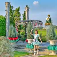 คาเฟ่ฟีลยุโรป! โค้งสุดท้ายก่อนเปลี่ยนธีม สวยมาก