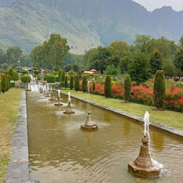 Nishat Garden Srinagar 