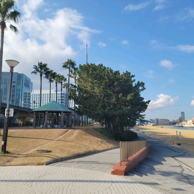 일본여행 후쿠오카의 아름다운 해변 모모치 시사이드 파크