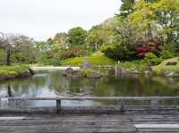 Sunpu Castle Park Momijiyama Garden 