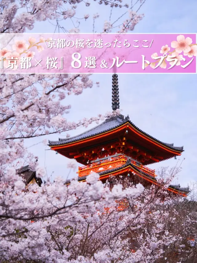迷ったらココ！京都×桜 8選とルートプラン🌸