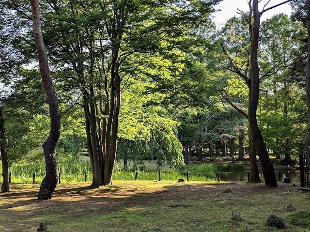 Akatsuka Park