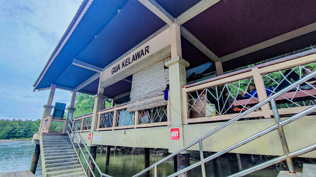 Langkawi Mangrove Tour