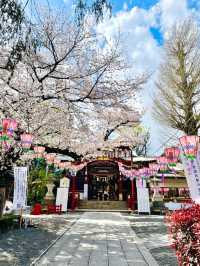 【居木神社/東京都】花散る桜吹雪が美しい神社