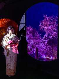 アートアクアリウム美術館 GINZA  『めっちゃ桜2024』🌸🐠🌸🐠🌸 