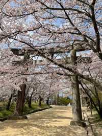 アニメでも有名になった神社