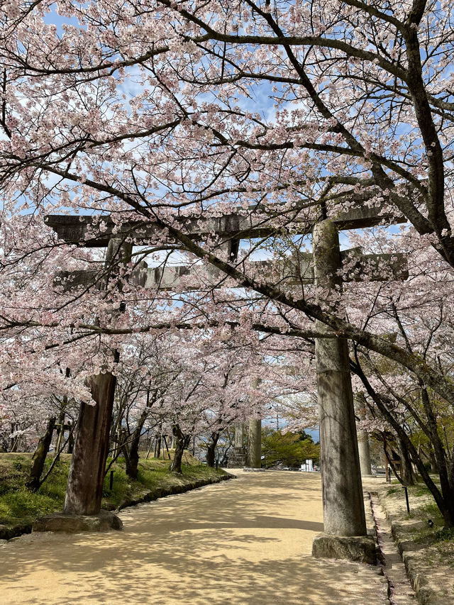 アニメでも有名になった神社