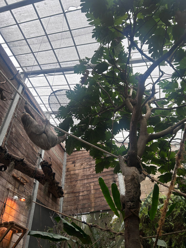 ［新竹/北埔］綠世界生態農場🦩｜超多動物可以近距離觀察 連植物都很多樣