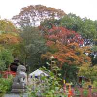 Mysterious Fushimi Inari Taisha