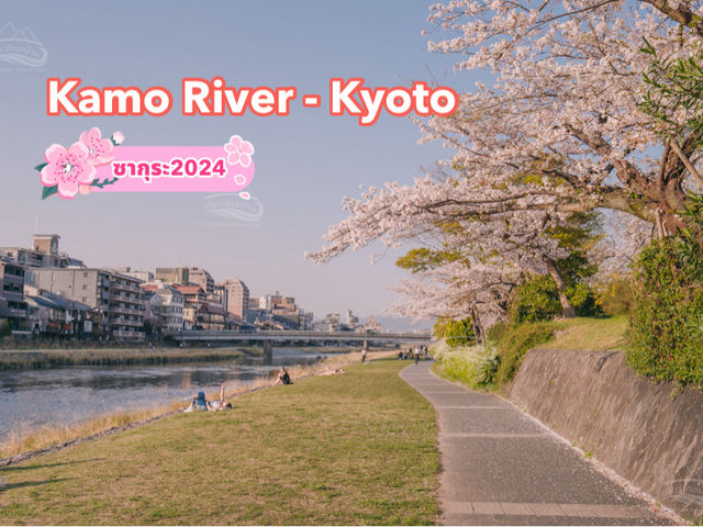 นั่งชิลยามเย็นที่ Kamo River เมืองเกียวโต