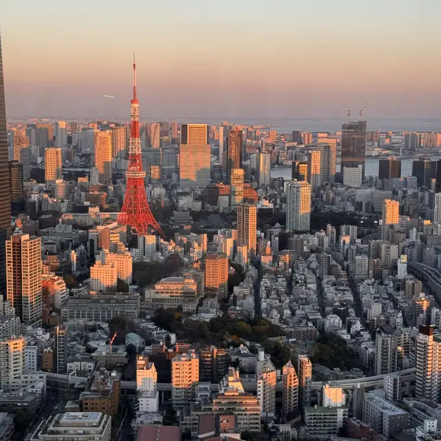 東京の最高の夕日スポットの一つ。
