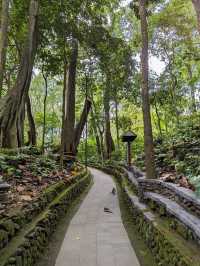The Sacred Monkey Forest Sanctuary