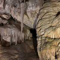 Unique experience while exploring the caves!