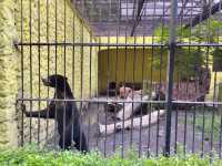 Surabaya Zoo 