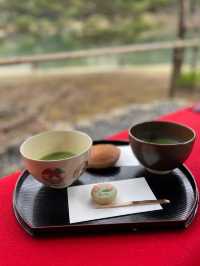 迫力満点！六義園の桜