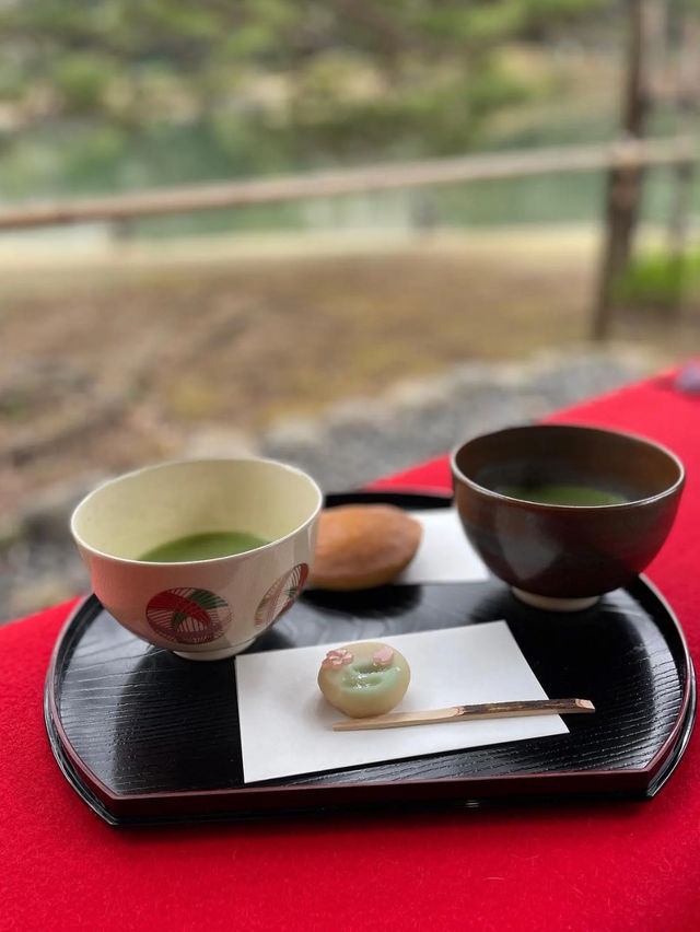 迫力満点！六義園の桜