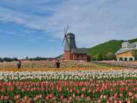 Kamiyubetsu Tulip Park