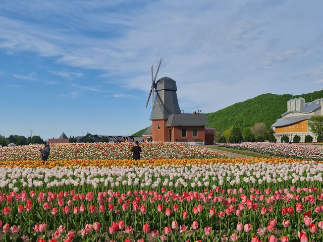 Kamiyubetsu Tulip Park