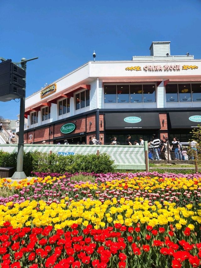 🌷지금가면 봄여행으로 찰떡인 "에버랜드 튤립축제"🌷