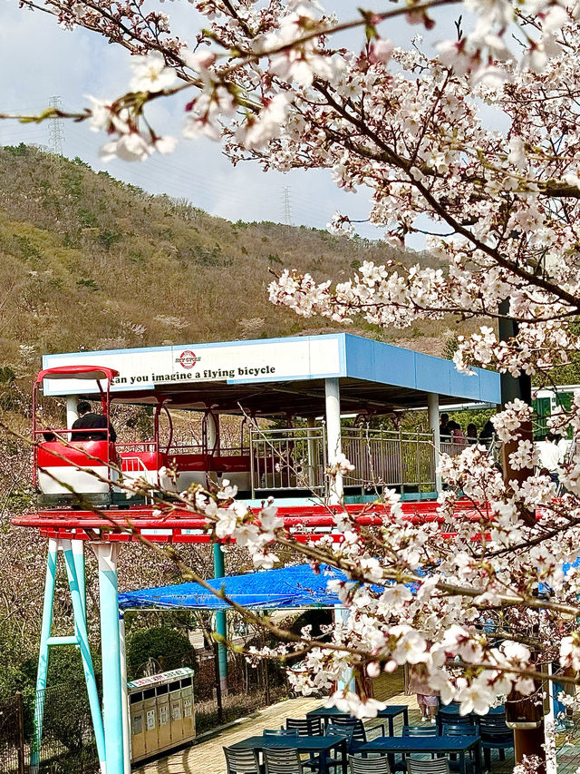 【韓国・金海】春に行きたい！金海のテーマパーク