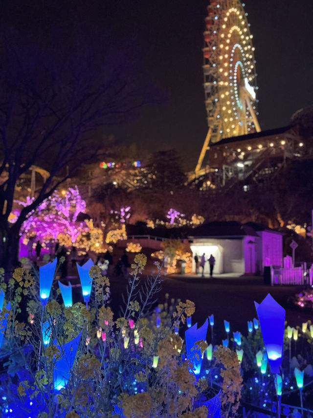 【ひらパー】期間限定で開催されているイルミネーション 『光の遊園地』