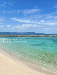 【黒島】石垣島から日帰りでも行けるのどかな島