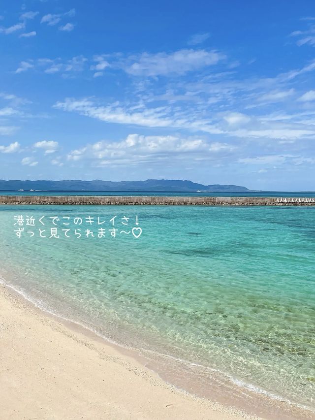 【黒島】石垣島から日帰りでも行けるのどかな島