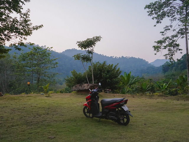 ลานกางเต็นท์ดอยนกเงือก เกาะช้าง จ.ตราด