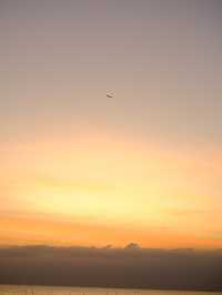 สถานตากอากาศบางปู 🐦🌤️