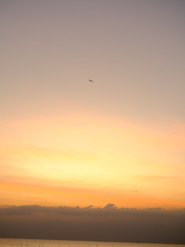 สถานตากอากาศบางปู 🐦🌤️