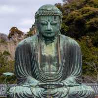 「鎌倉大佛」高德院，20日圓參觀佛像內部
