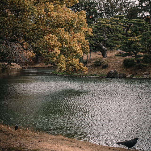 北海道小樽市入船公園：春天花卉盛開，絕美山水樂園